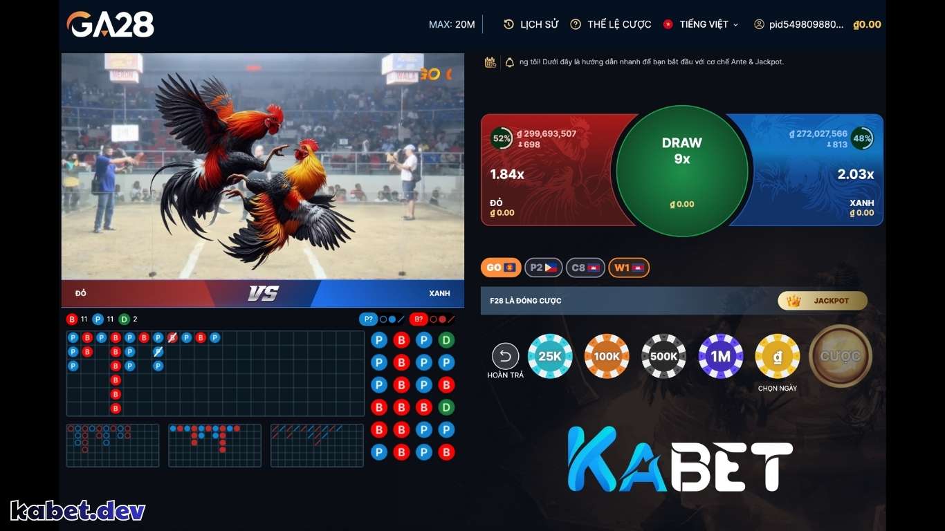 Vì sao nên tham gia cá cược đá gà KABET?